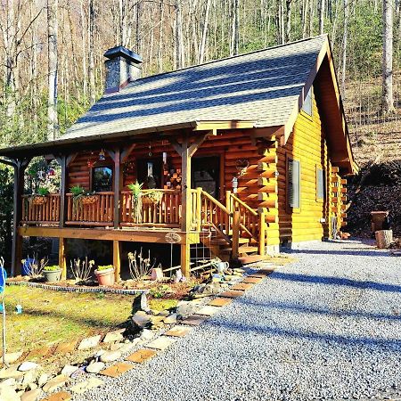 The Little Wolf Cabin แมกกีวาเลย์ ภายนอก รูปภาพ